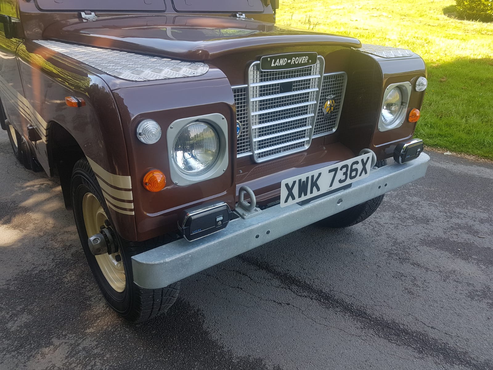 IMG-20210617-WA0033 - Simmonites