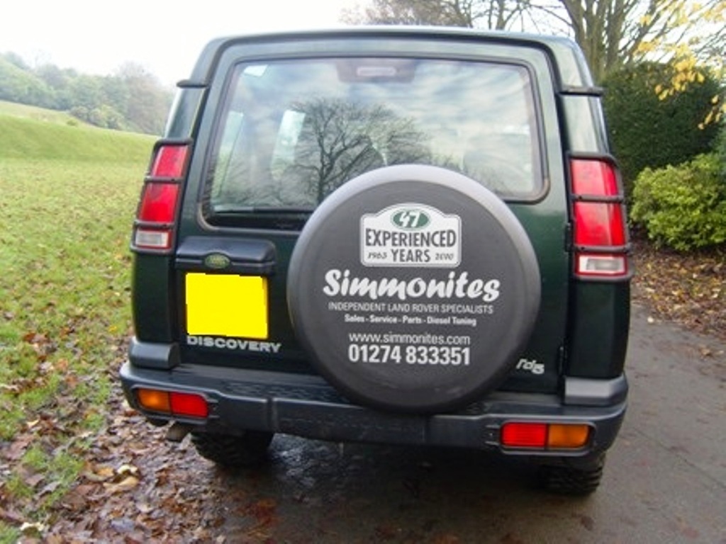 SS100290 - Simmonites