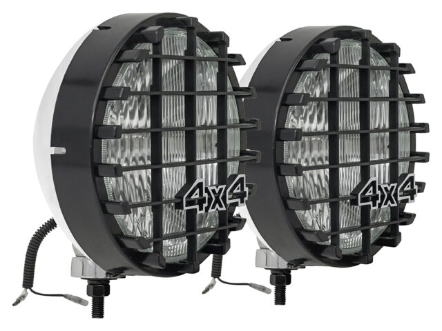 8" Light - 100 Watt
